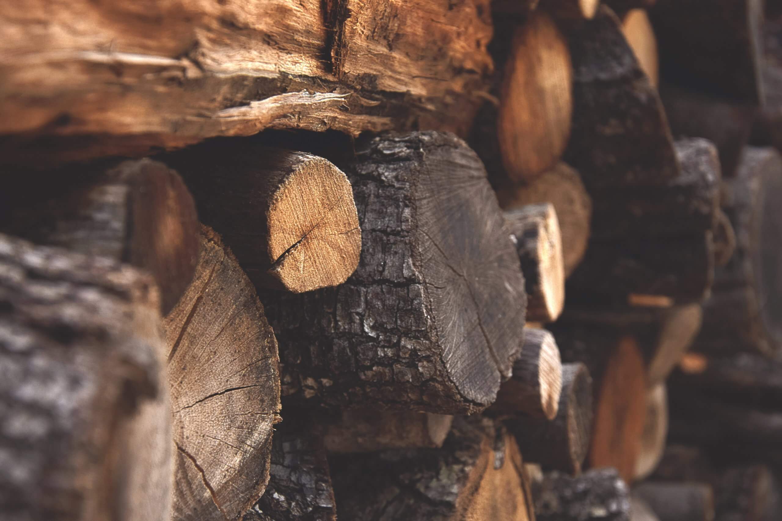 wood displaying biomass