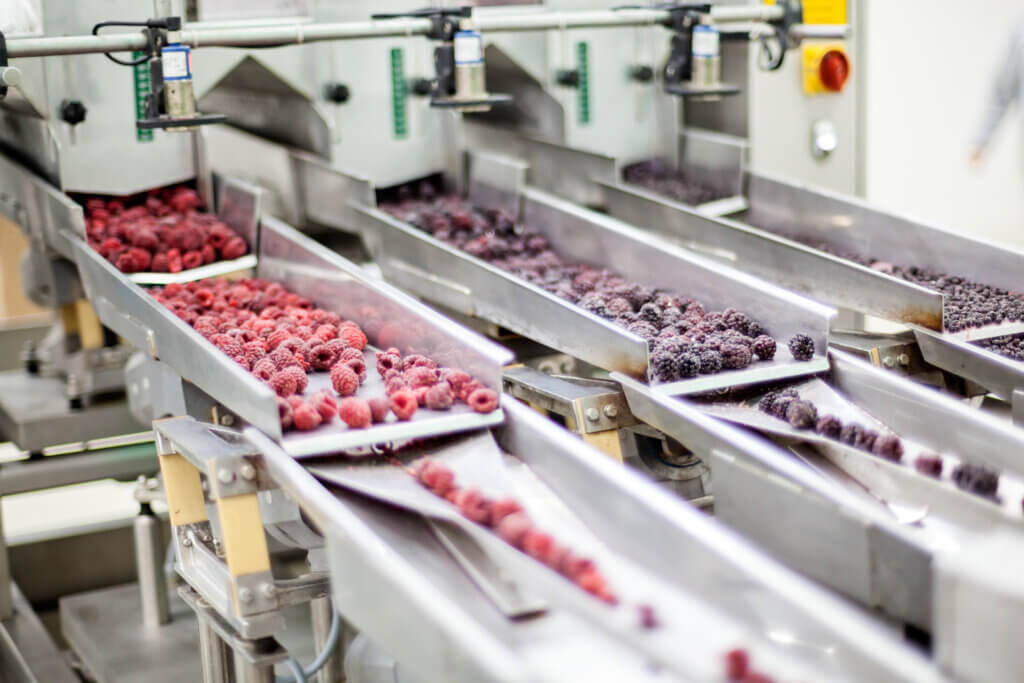 food manufacturing frozen raspberry processing business