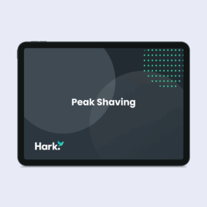 Peak Shaving with Energy Optimisation Software
